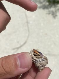 Midsection of person holding small