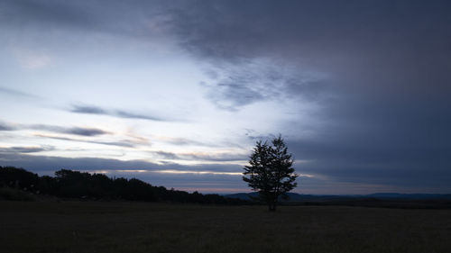 Silhouette trees on field against sky during sunset