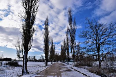 Road amidst bare trees on field during winter against sky