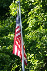 Low angle view of american flag against sky