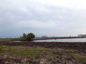 Scenic view of field against sky