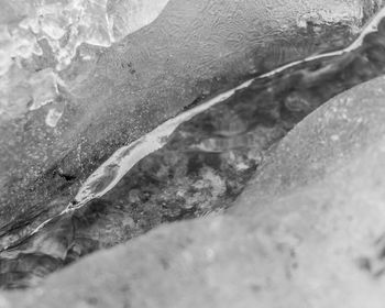 Close-up of frozen water