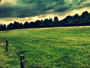 Scenic view of grassy field against cloudy sky