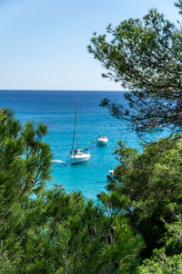 Scenic view of sea against clear sky