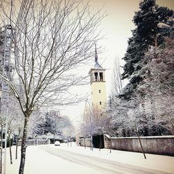 Snow covered trees in winter