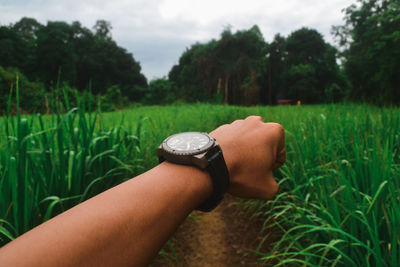 Cropped hand of person wearing wristwatch on field