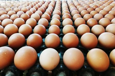 Full frame shot of pumpkins