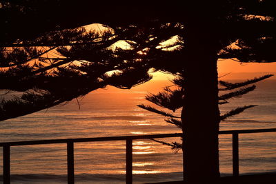 Silhouette tree by sea against sky during sunset