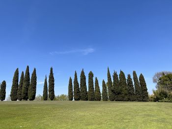 Panorama of nature, meadows and trees on sky background .