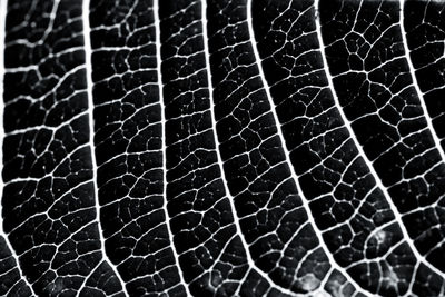 Full frame shot of abstract background