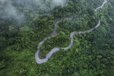 High angle view of road amidst trees in forest