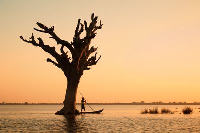 Silhouette tree by sea against sky during sunset