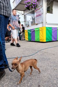 Close-up of dog