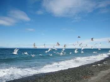 Scenic view of sea against sky