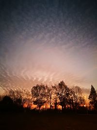 Silhouette trees on field against sky at sunset