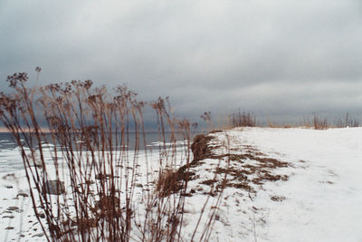 Scenic view of frozen lake against sky during winter