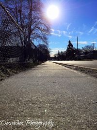 Empty road along bare trees