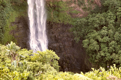 Scenic view of waterfall in forest