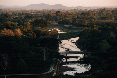 High angle view of river amidst trees