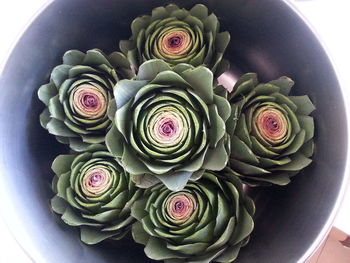 Close-up of multi colored flowers