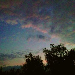 Low angle view of trees against cloudy sky