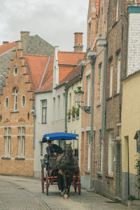 Horse drawn carriage in the streets of bruges in belgium