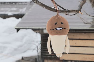 Close-up of toy hanging on branch during winter
