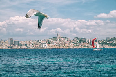 Seagull flying over sea against sky