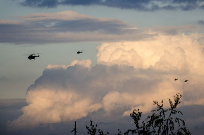 Low angle view of silhouette birds flying against sky