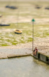 Woman standing by plants in water