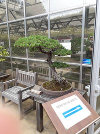 Chairs and tables in greenhouse