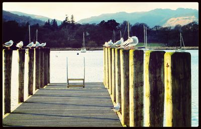 Wooden pier on sea