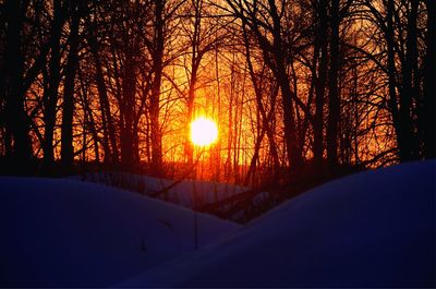 Snow covered trees against sky during sunset