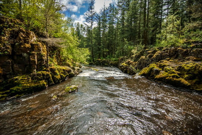 River flowing amidst rocks in forest