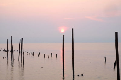 Wooden posts in sea against sky during sunset