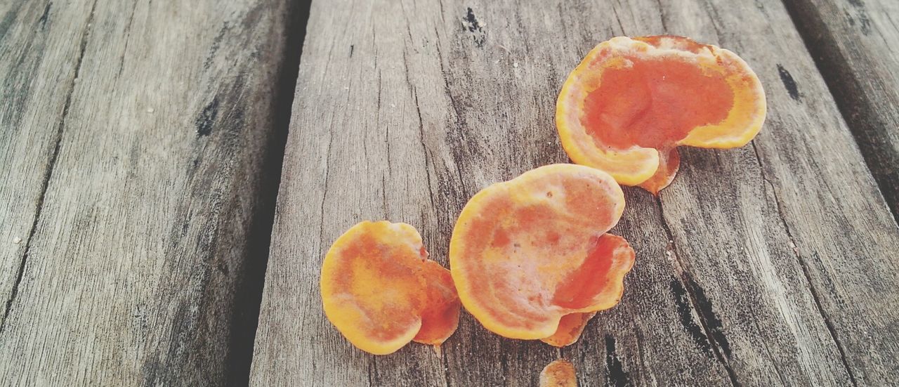 food and drink, food, wood - material, orange color, freshness, healthy eating, wooden, fruit, still life, table, close-up, high angle view, vegetable, wood, red, no people, day, pumpkin, directly above, yellow