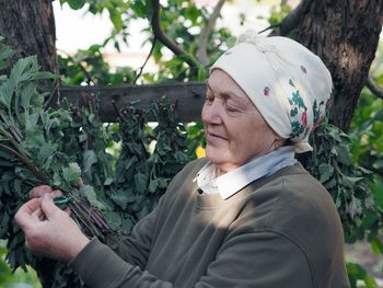 An elderly woman dries the beneficial plants of lemon balm for tea and use for treatment.