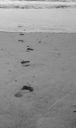Scenic view of beach