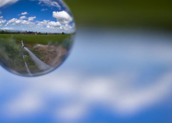 Close-up of grass on field against cloudy sky