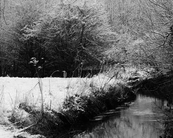 Close-up of water against sky