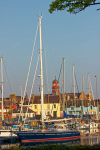 Sailboats moored at harbor against clear sky