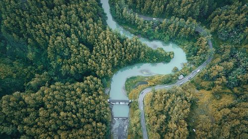 Aerial view of river amidst trees in forest