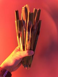 Close-up of hand holding food against red background