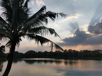 Silhouette palm trees against sky during sunset