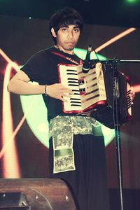 accordion