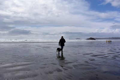 Man and dog walking on beach