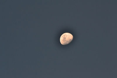 Low angle view of moon in sky
