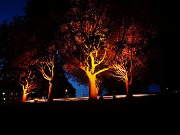 Silhouette trees by illuminated street against sky at night