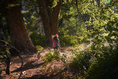 Rear view of woman walking amidst trees in forest