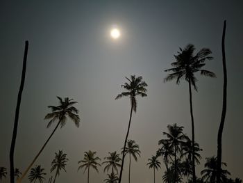 Low angle view of silhouette palm trees against sky during sunset